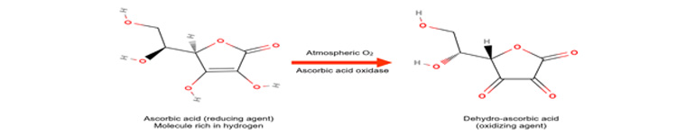 Dehydroascorbic Acid