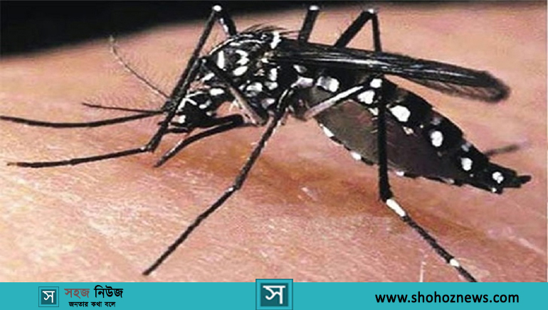 এডিস ইজিপ্টাই (Aedes aegypti)