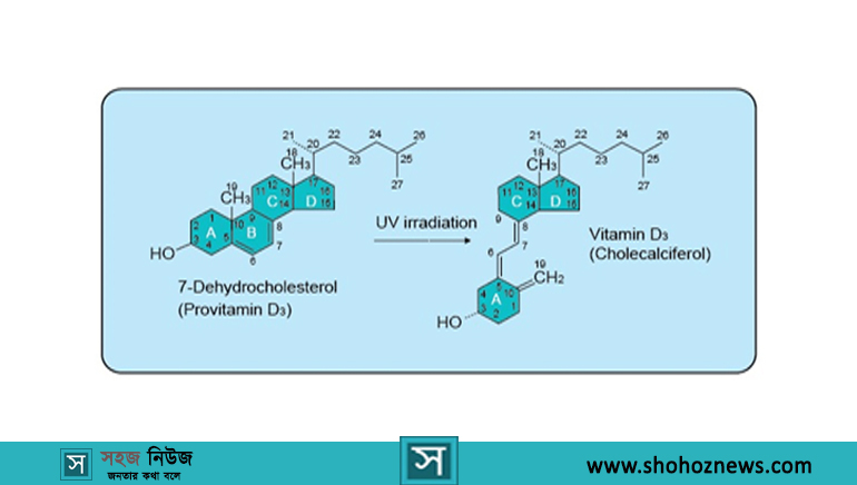 Vitamin D3 Structure