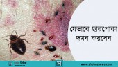 আরব দেশগুলোতে বসবাসকারীরা যেভাবে ছারপোকা দমন করবেন