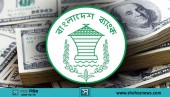 ২৫ বিলিয়ন ডলার ছাড়াল রেমিট্যান্স